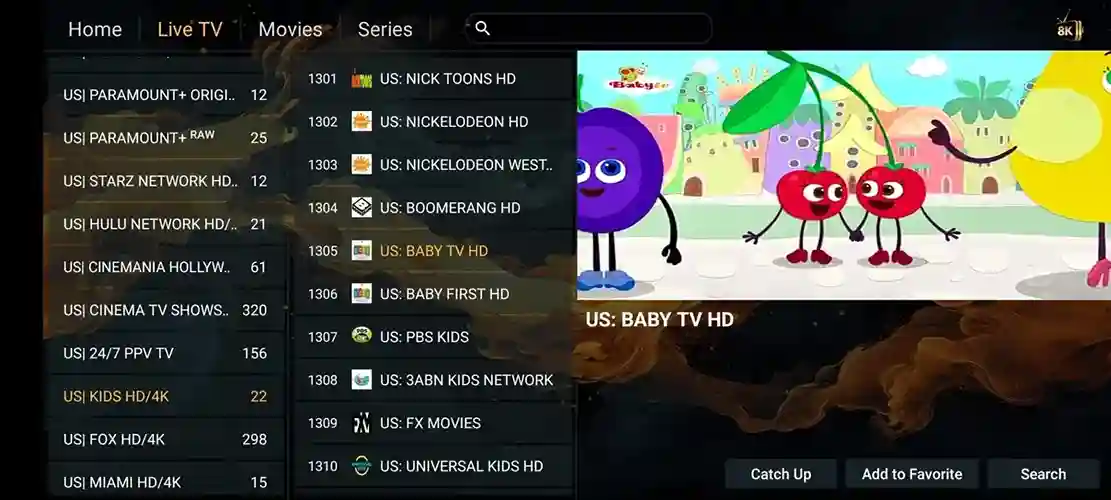 Preview 3 - SaaStream IPTV Premium IPTV Subscription